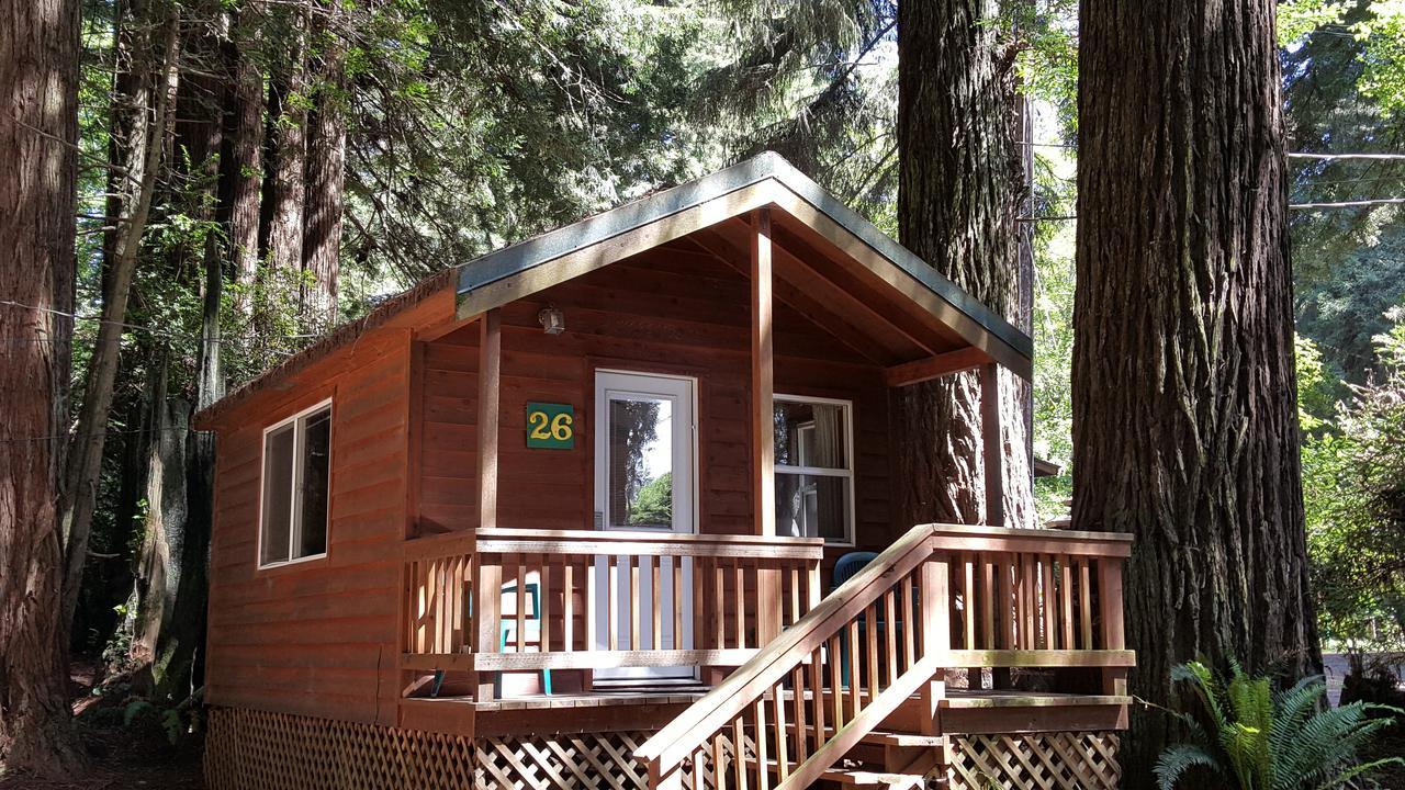 Emerald Forest Cabins Трінідад Екстер'єр фото