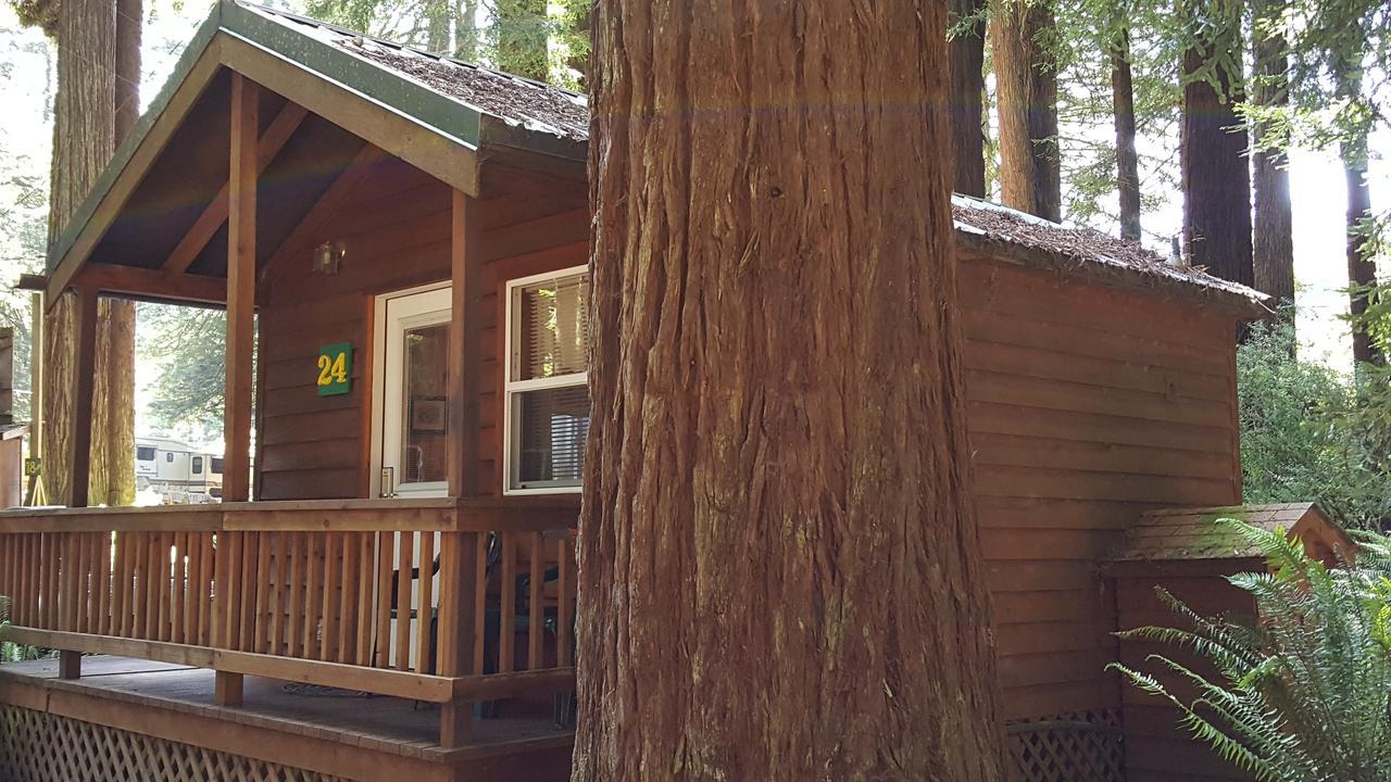 Emerald Forest Cabins Трінідад Екстер'єр фото