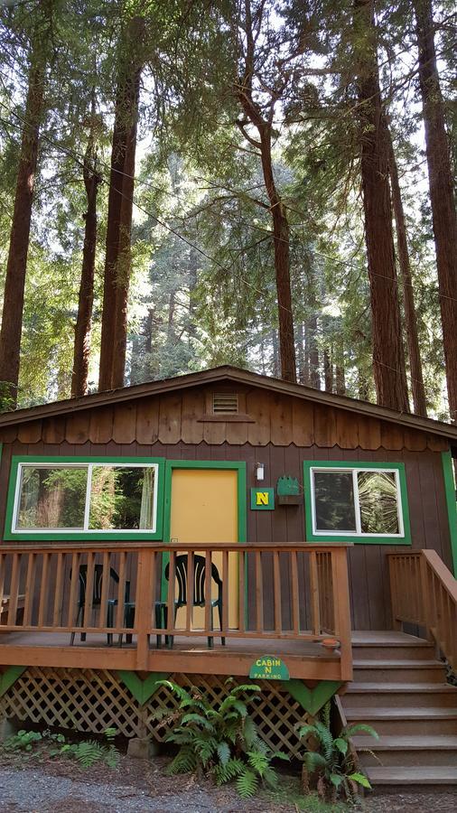 Emerald Forest Cabins Трінідад Номер фото