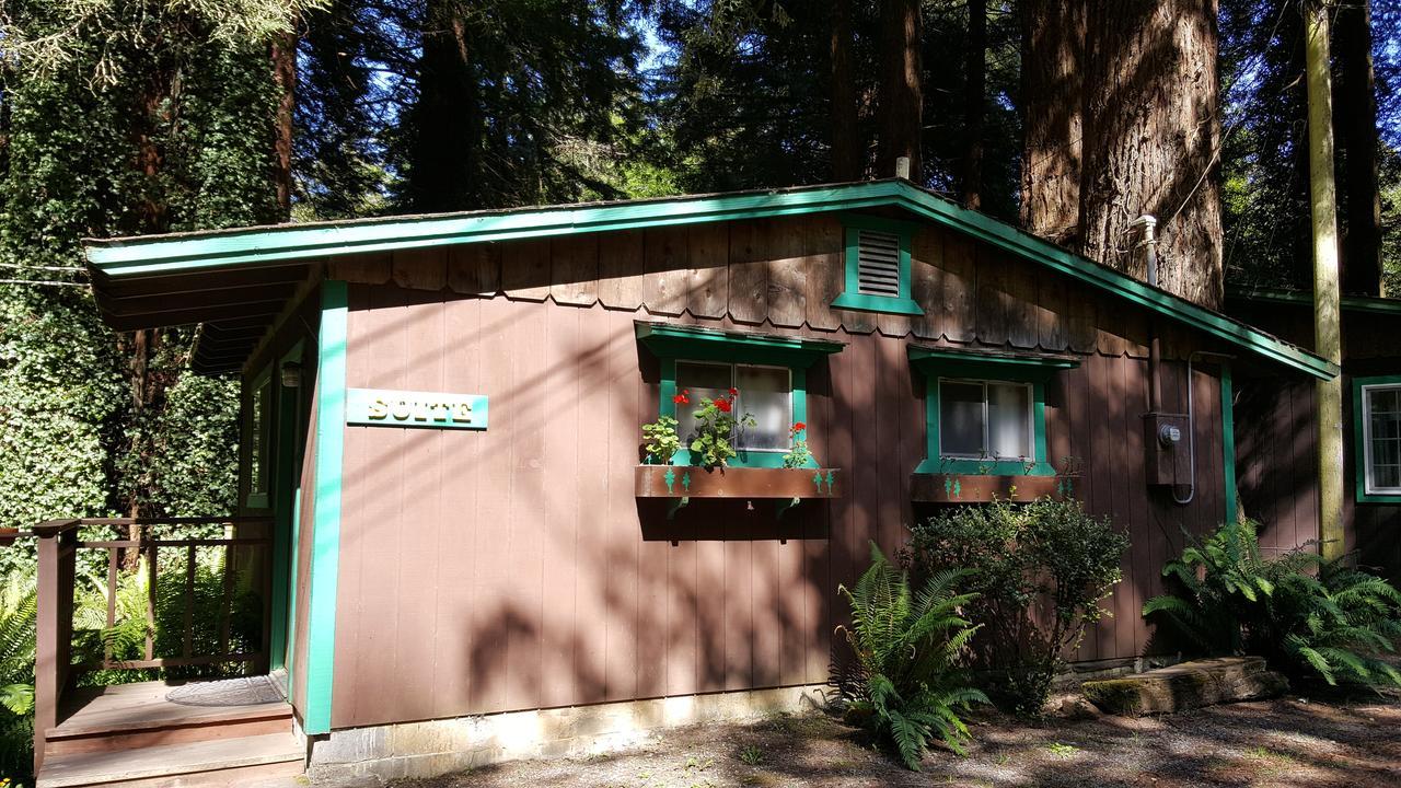 Emerald Forest Cabins Трінідад Номер фото