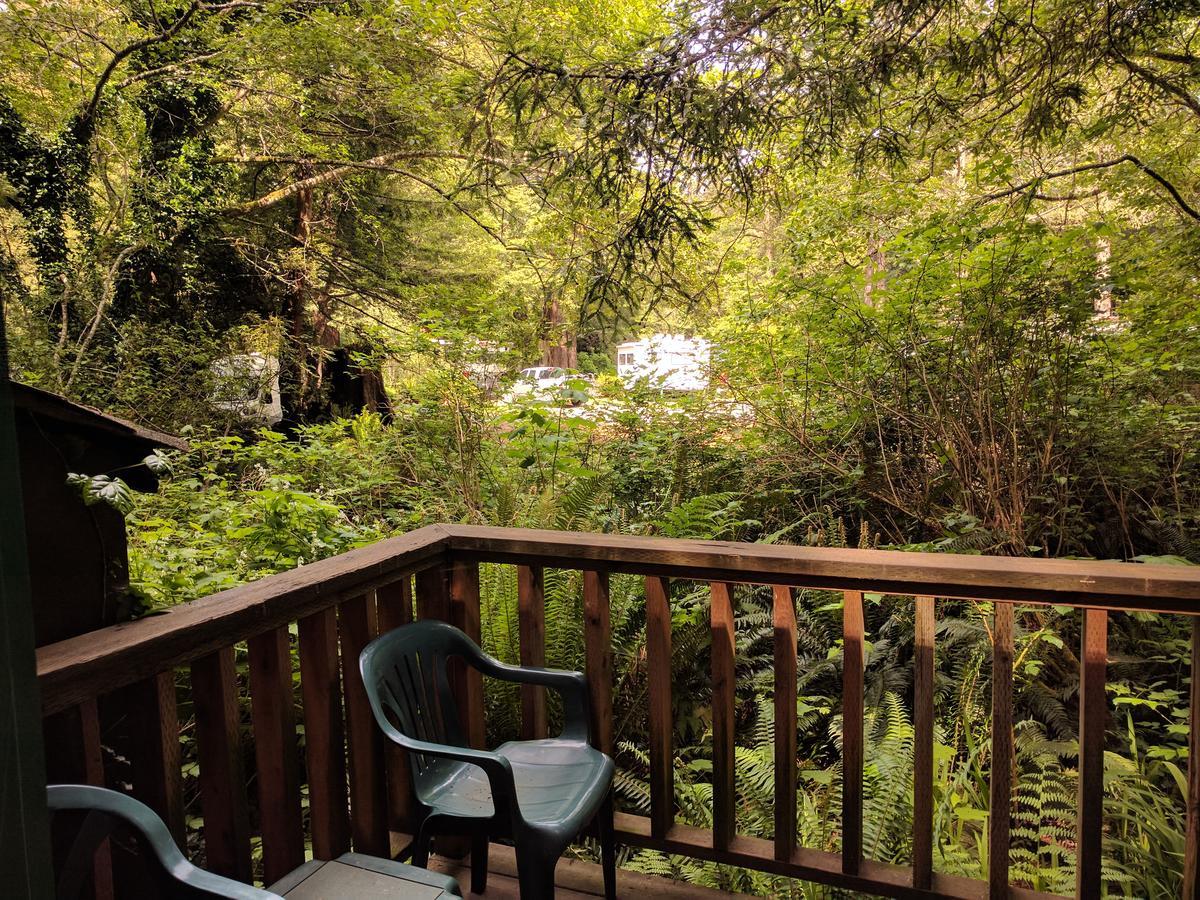 Emerald Forest Cabins Трінідад Номер фото